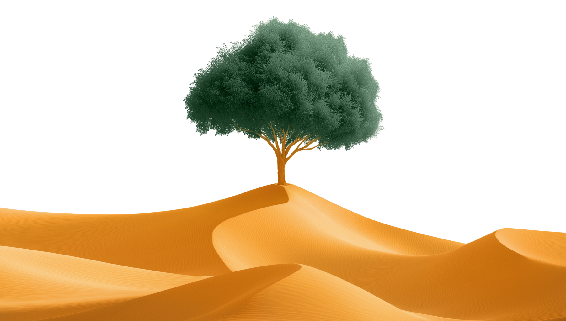 Front dunes with tree