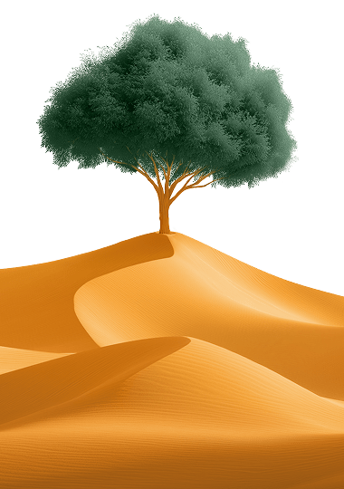 Front dunes with tree